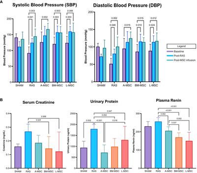 Human liver derived mesenchymal stromal cells ameliorate murine ischemia-induced inflammation through macrophage polarization